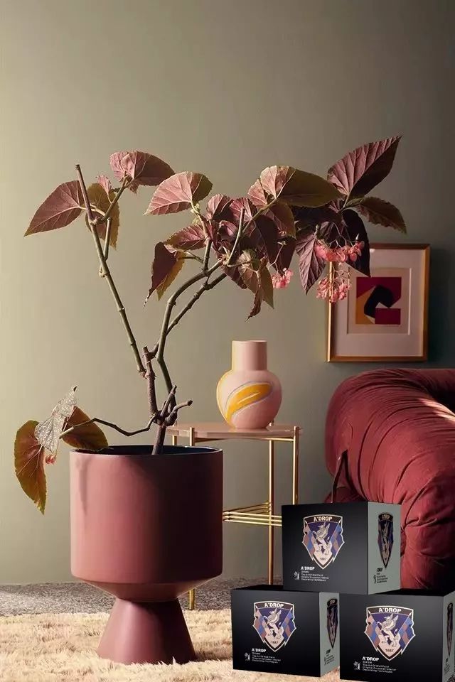 阿里大師喬瓦尼藝術涂料