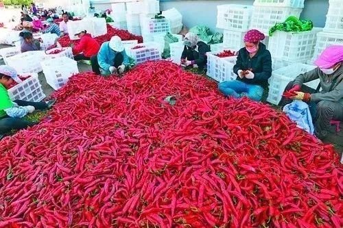 阿里大師水漆 阿里大師水漆