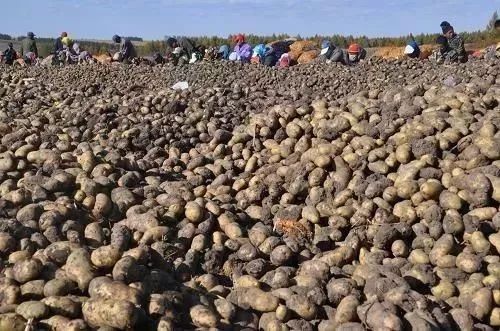 阿里大師水漆 阿里大師水漆