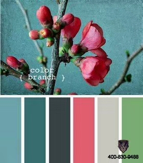 阿里大師喬瓦尼藝術涂料